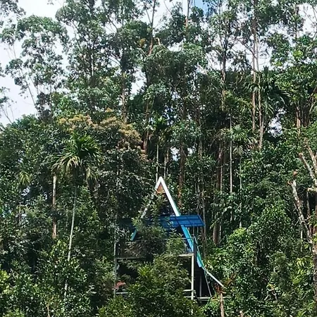 Nest In Mist Munnar Service Villa Exterior photo