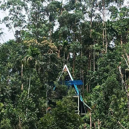 Nest In Mist Munnar Service Villa Exterior photo