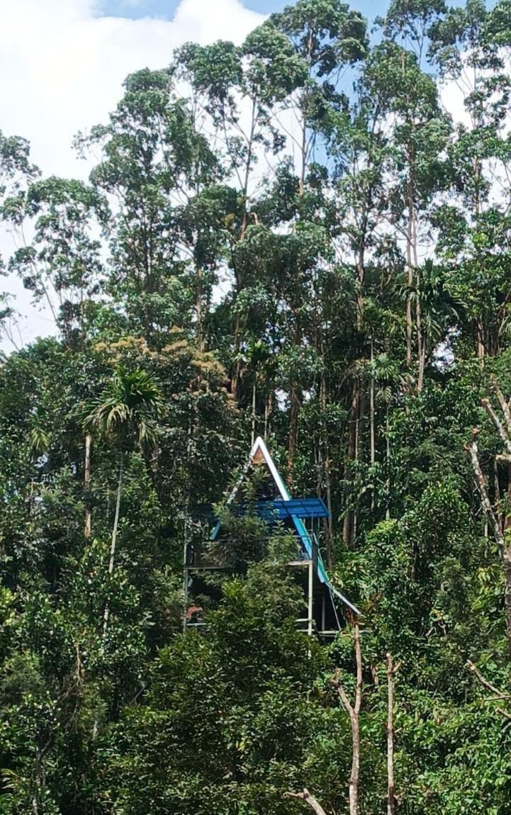 Homestay Nest In Mist Service Munnar